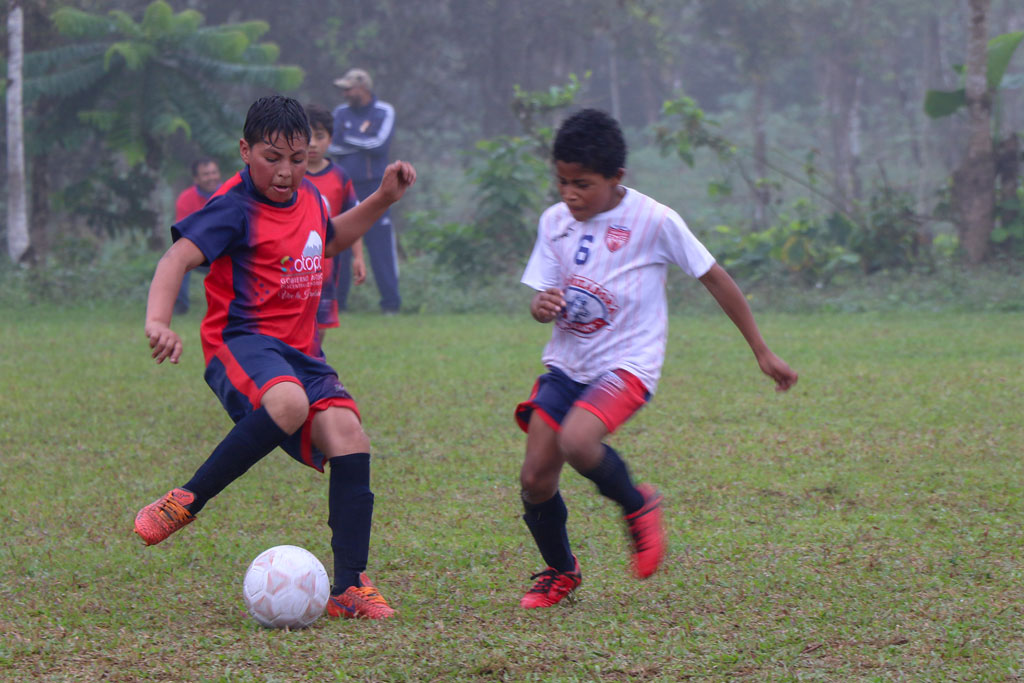 ESCUELAS 2