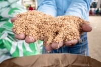 GPC entrega semillas a pequeños productores