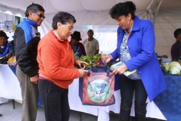 Gobierno Provincial markamanta Salcedo kitipi feriakunata rurarkami